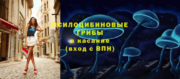 спиды Шадринск
