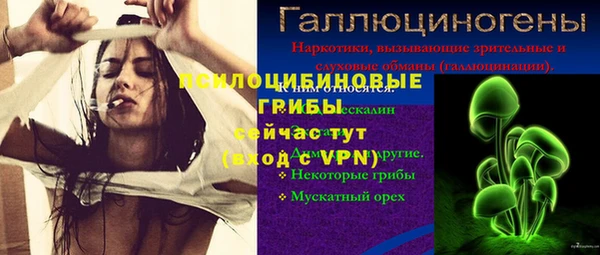 спиды Шадринск
