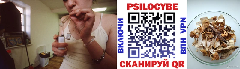 shop наркотические препараты  мега ТОР  Алагир  Псилоцибиновые грибы MAGIC MUSHROOMS 